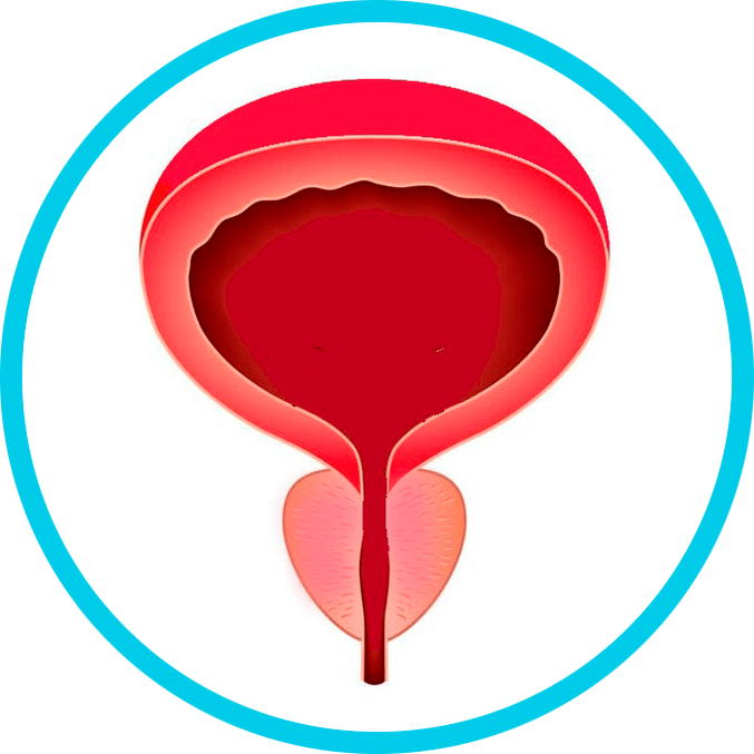 Prevención da prostatite